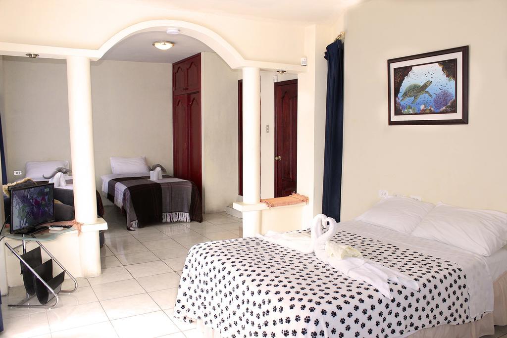 Planet House Hotel Puerto Ayora  Room photo